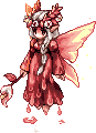 Senior Aries