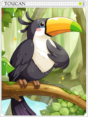 Toucan Card