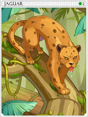 Jaguar Card