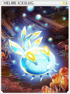 Melibe Slug Card