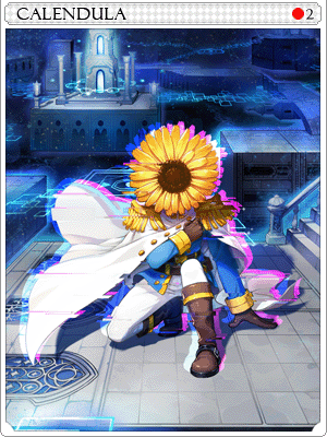 Calendula Card