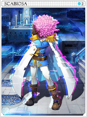 Scabiosa Card