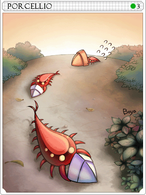 Porcellio Card
